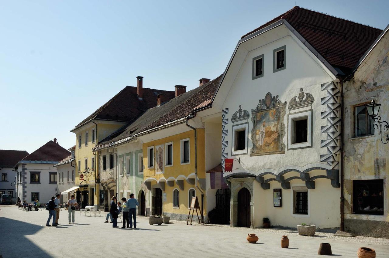 Hotel Grajski Dvor 3*